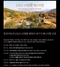 [NSP PHOTO]한성자동차, 피크닉 페스티벌 시월애 개최