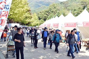 [NSP PHOTO]문경사과축제, 이틀만에 8만 명 몰려