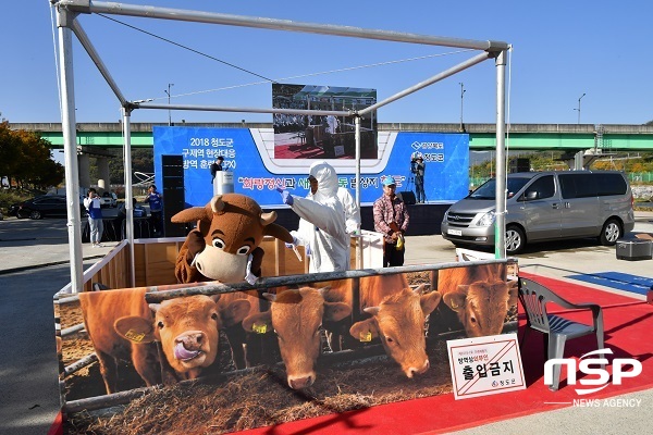 NSP통신-현장시연은 실제 상황과 같이 전부서 실무 담당 공무원과 축산농가가 직접 현장시연에 참여해 구제역에 대한 경각심을 고취시키는 계기가 됐다. (청도군)