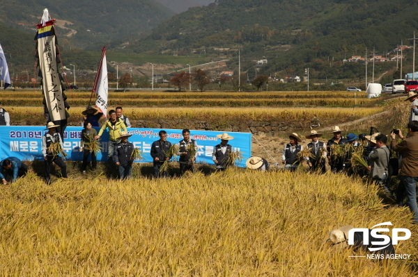 [NSP PHOTO]구례군, 통일쌀 공동경작단 벼베기 행사 가져