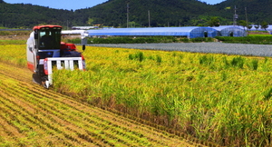 [NSP PHOTO]진도군, 내년부터 최대 월 200만원 농업인 월급제 확대