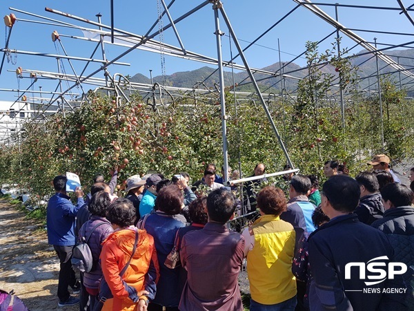 NSP통신-곡성군이 최근 관내 사과재배 농민들을 대상으로 실시한 선진농가 벤치마킹. (곡성군)