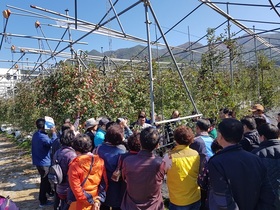 [NSP PHOTO]곡성군, 사과 재배농가 선진지 현장교육 실시