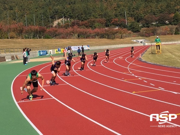 NSP통신-제43회 전라남도학생종합체육대회 육상경기. (전남교육청)