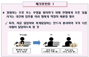 [NSP PHOTO]금감원, 중소기업 회계부정방지 체크포인트 안내