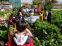 [NSP NEWS Image]안양시 안양8동, 행복나눔 마을텃밭 축제 개최