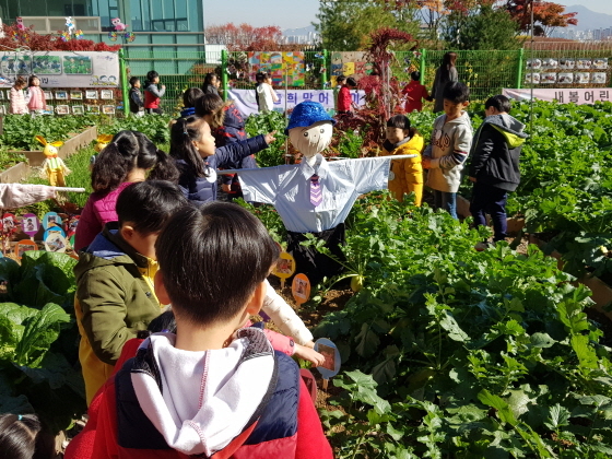 -1일 만안청소년 수련관 후문 텃밭에서 함께해요! 행복나눔 마을텃밭 축제가 진행되고 있다. (안양시)
