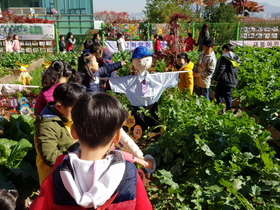 [NSP NEWS Image]안양시 안양8동 행복나눔 마을텃밭 축제 개최