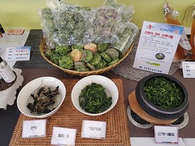 [NSP PHOTO]경북도농업기술원... 간편식 산채나물 건조기술 개발