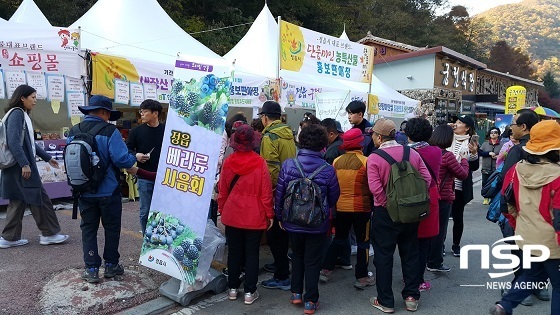 [NSP PHOTO]정읍시, 내장산 관광객 대상 베리류 홍보·시음행사 가져
