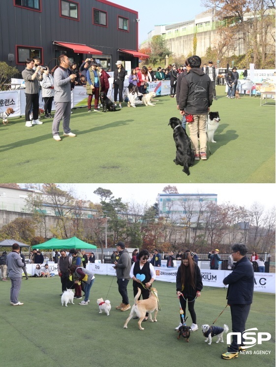 NSP통신-10일 이웅종 교수가 봉담읍 분천리에 위치한 이삭애견훈련소에서 반려견과 함께하는 명량운동회를 개최했다. (이주현 기자)