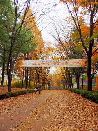 NSP통신-궁내동 문화의 거리 가을 풍경. (군포시)