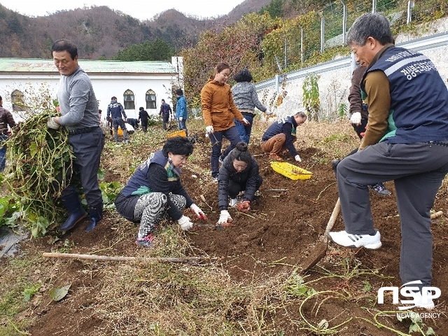 NSP통신- (울릉교육청 제공)