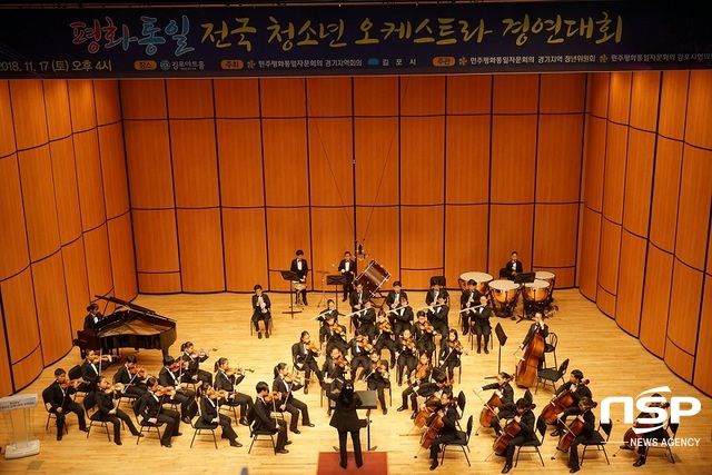 NSP통신-평화통일 전국청소년 오케스트라 경연대회가 진행 중에 있다. (나수완 기자)