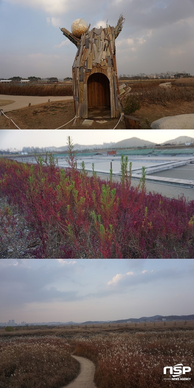 NSP통신-위로부터 갯골생태공원 내 조형물, 칠면초, 갈대숲 (나수완 기자)
