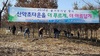 [NSP PHOTO]더 푸르게 더 아름답게…진안군, 숲가꾸기 행사 개최