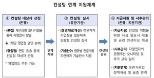 [NSP PHOTO]금감원, 자영업자 경영컨설팅 연계 지원체계 구축·시행