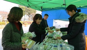 [NSP PHOTO]논산시, 로컬푸드 직거래장터 시범운영