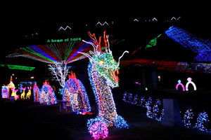 [NSP PHOTO]보성군, 제16회 보성차밭 빛 축제 준비 한창