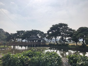[NSP PHOTO]함평군, 전라남도 전통마을 숲 콘테스트 최우수상 수상