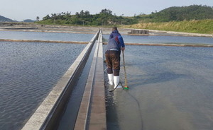 [NSP PHOTO]신안군, 해양수산사업 조기 공모