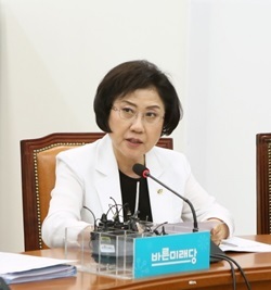 NSP통신-최도자 바른미래당 국회의원 (최도자 의원실)