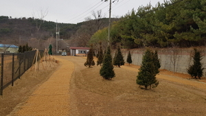 [NSP PHOTO]김포시, 반려동물 전용공원 조성 완료