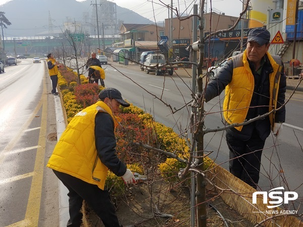 NSP통신-장성앤사과 관계자들이 지난 17일 애기사과거리에서 전정작업을 하고 있다. (장성군)