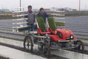 [NSP PHOTO]당진시, 100만평 양파생산단지 조성 추진