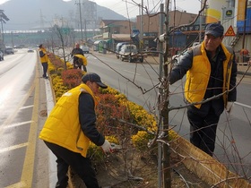 [NSP PHOTO]장성군, 명품 애기사과 거리 탄생