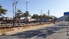 [NSP PHOTO]공주시, 제설제 방지막 설치로 가로수 보호