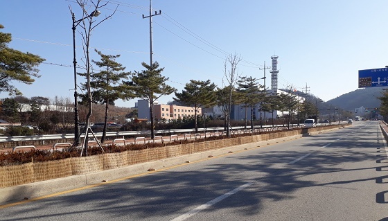 NSP통신-▲공주시가 도로 중앙분리대에 제설제 방지막을 설치했다. (공주시)