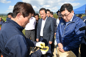 [NSP PHOTO]경북 최초, 경주시 식량산업 5개년 종합계획 승인