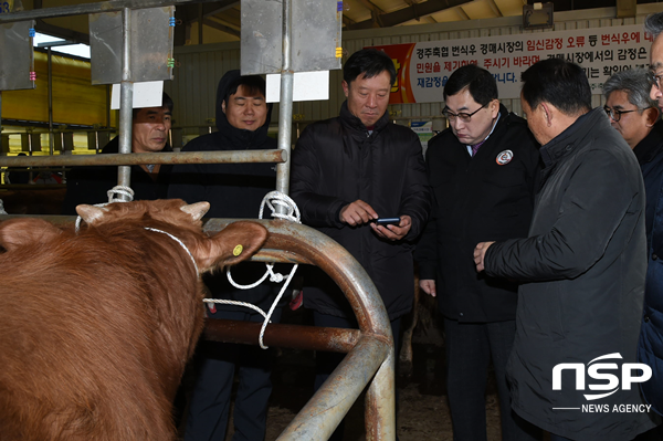 NSP통신-주낙영 경주시장이 3일 경주가축시장을 찾아 현장에서 답을 찾는 현장밀착 행정을 하고 있다. (경주시)