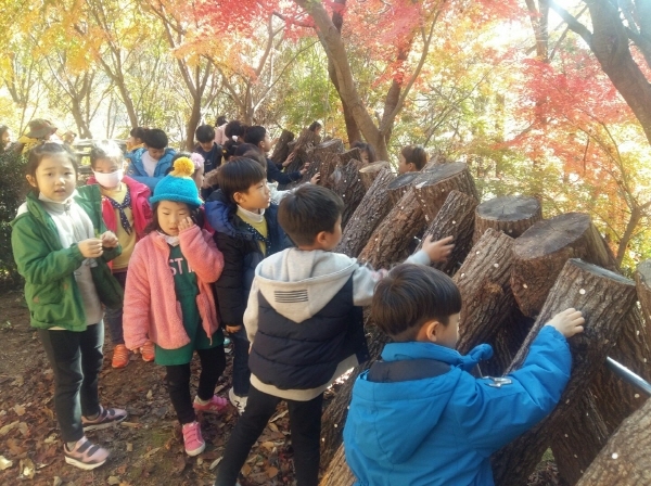 NSP통신-가학산 유아숲 표고버섯체험 (해남군)