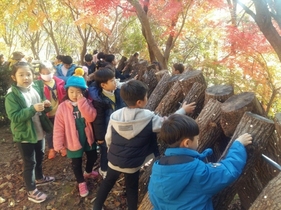 [NSP PHOTO]해남 가학산자연휴양림, 유아숲체험원 등록