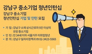 [NSP PHOTO]서울 강남구, 2019년 강남구 중소기업 청년인턴십 사업 시작
