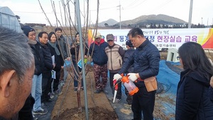 [NSP PHOTO]정읍시농기센터, 겨울철 과수 전정 시 검역병 예방 당부