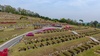 [NSP PHOTO]당진시, 공설장사시설 환경개선 추진