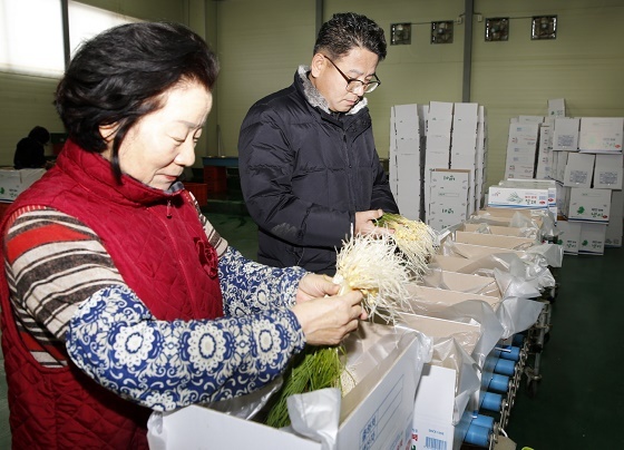 NSP통신-▲태안군이 지난달 중순부터 지역 100여 농가에서 냉이·달래를 수확하기 시작했다. (태안군)