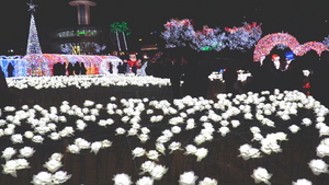 [NSP PHOTO]보성차밭 빛 축제, 겨울철 전국 대표축제로 급부상