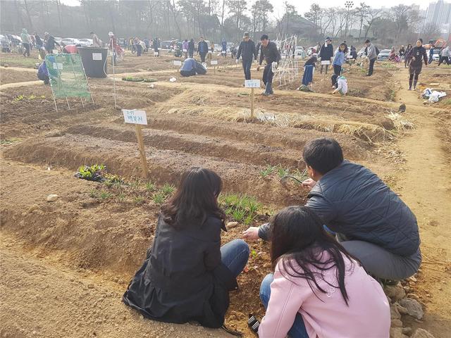 NSP통신-2018년 화성시 도시농부학교에 참여한 교육생 및 가족들이 화성시민행복텃밭에서 실습하며 텃밭을 가꾸는 모습. (화성시)