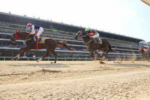 [NSP PHOTO]한국마사회, 동아일보배 경주 열려