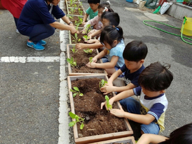 [NSP PHOTO]부천시, 유치원·어린이집 상자텃밭 조성 지원