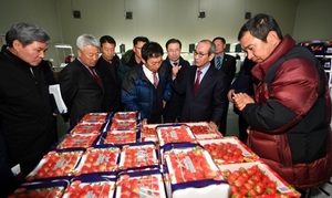 [NSP PHOTO]이승율 청도군수, 고령·김천 딸기 공동선별장 견학