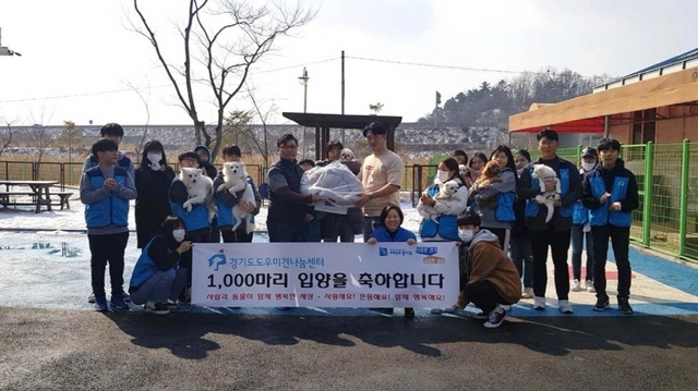 NSP통신-경기도 도우미견나눔센터에서 1000번째 유기견 입양을 기념하는 사진촬영을 하고 있다. (경기도)