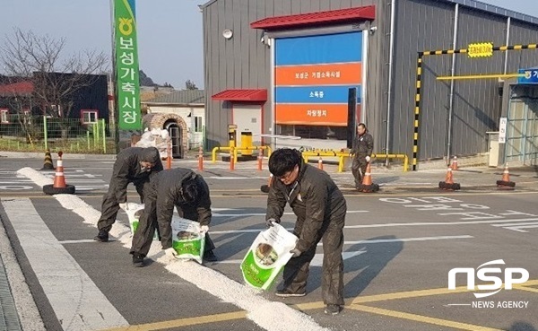 NSP통신-보성축협 직원들이 21일 3주간 임시 휴장된 가축시장 재개장 준비를 하고 있다. (전남농협)