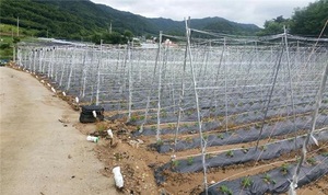 [NSP PHOTO]장수군, 신성장농업 육성사업 신청·접수