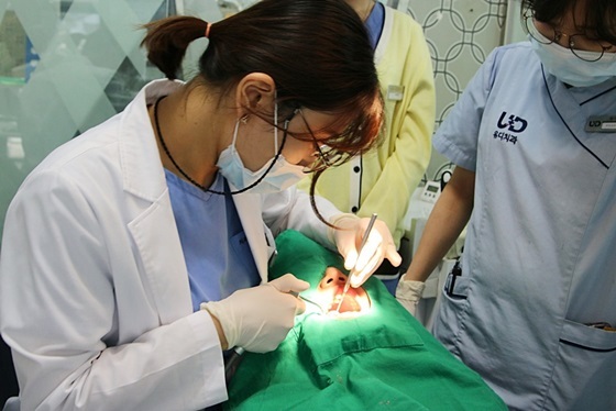 NSP통신-유디치과의 우리동네 이 밝은 세상 대상자로 선정된 김 군(14세)이 치아 검진을 받고 있는 모습 (유디치과)