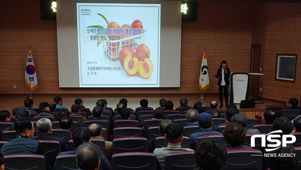 NSP통신-경산시 농업기술센타가 복숭아 재배 농업인 190여 명이 참석해 천도복숭아 유망 품종 특별강좌를 가졌다. (경산시)